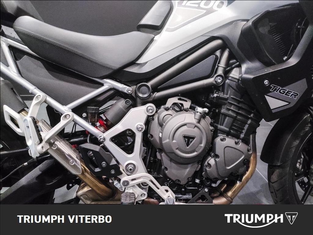 TRIUMPH Tiger 1200 GT Pro Abs